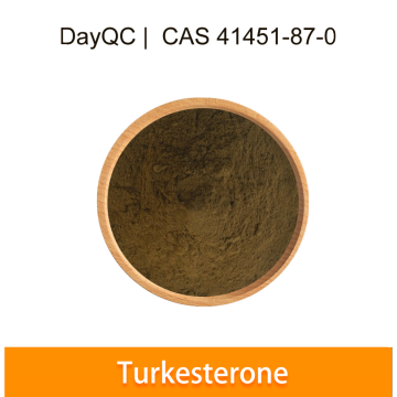 Ajuga Turkestanica di alta qualità estratto 10% turkesterone