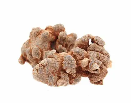 Panax notoginseng total saponins