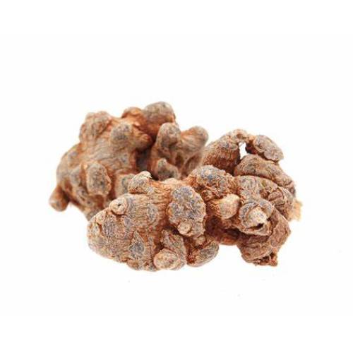 Panax notoginseng total saponins