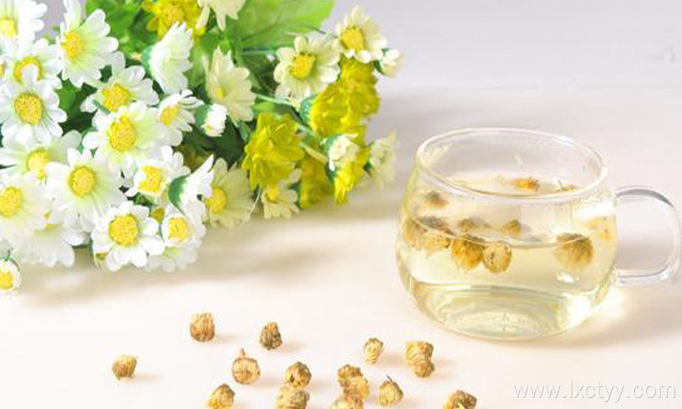 hot sale organic chrysanthemum flower tea