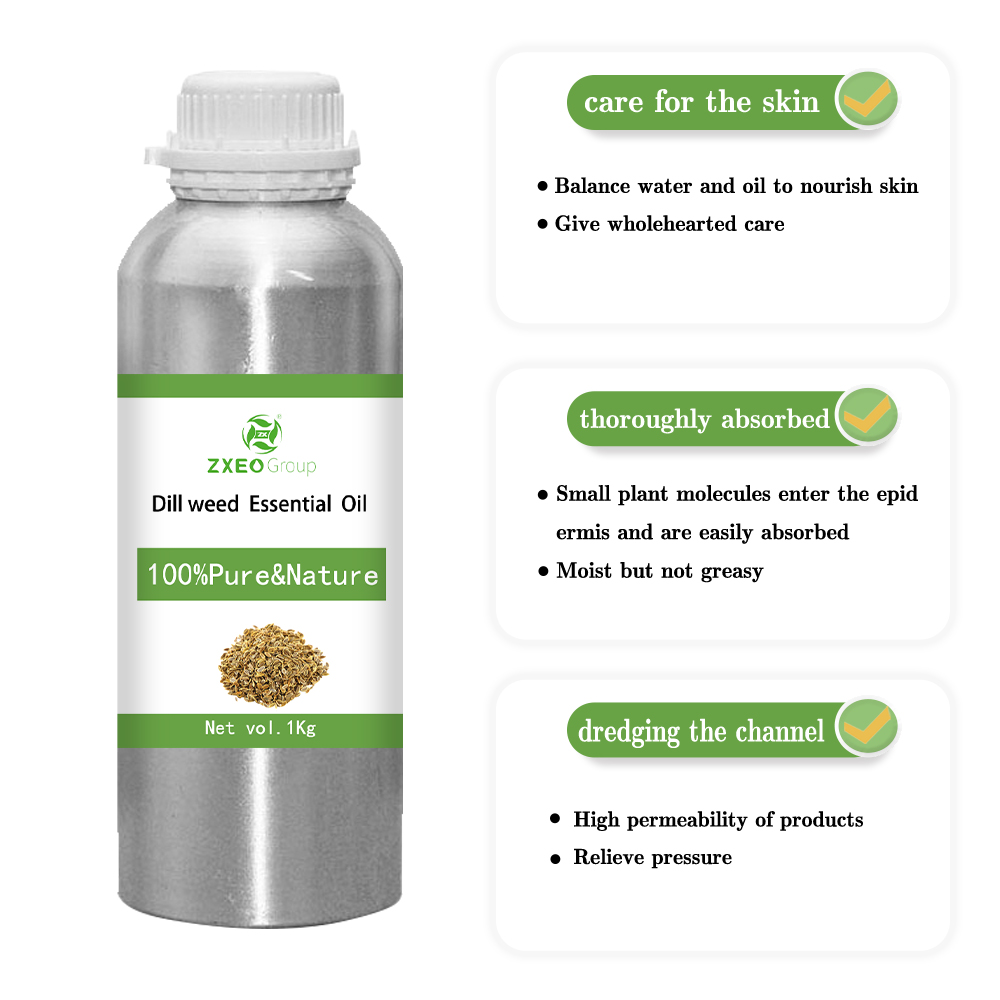 Aceite esencial de ola de eneldo 100% puro y natural Aceite esencial de bluk de alta calidad para compradores globales El mejor precio
