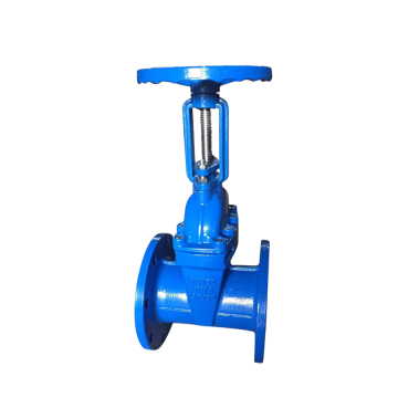 DN80 PN16 Soft Seal Sluice Gate Valve with 250mm Spindle (110mm/150mm/F4)