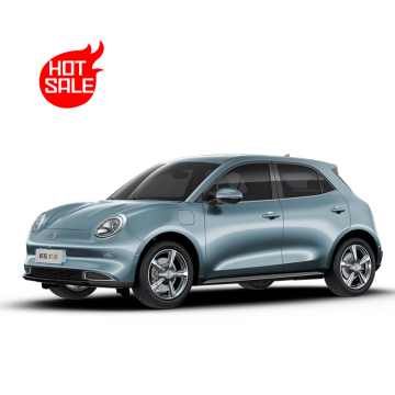 2024 ORA GOOD CAT：最低価格5人乗り電気自動車