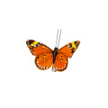/msite/products/detail/productid/58337003/id/680473.html