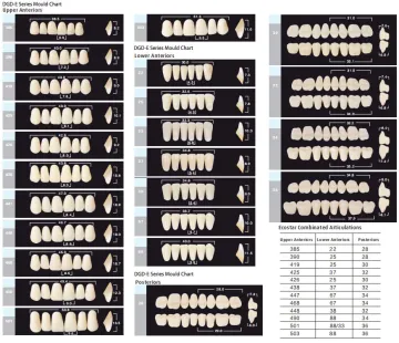 Dental Synthetic Polymer Teeth Resin Teeth