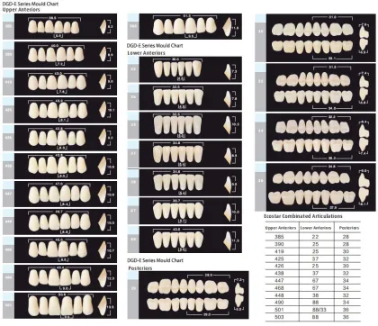 Dental Synthetic Polymer Teeth Resin Teeth