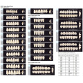 Dental Synthetische Polymerzähne Harzzähne