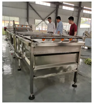 Seafood Processing Machine: Clam Shellfish Squid Mussel Washer and Pineapple Cutting Carving Blanching Production Line