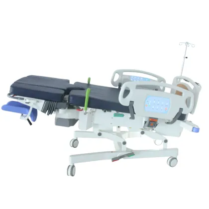 High-end Electric LDRP Hospital Beds