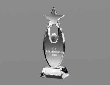 Hot Sale Globe star award
