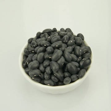 New Crop Natural Grown Black Beans Pulses