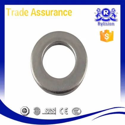 United Arab Emirates Z20C13 Stainless Steel Taper Washer