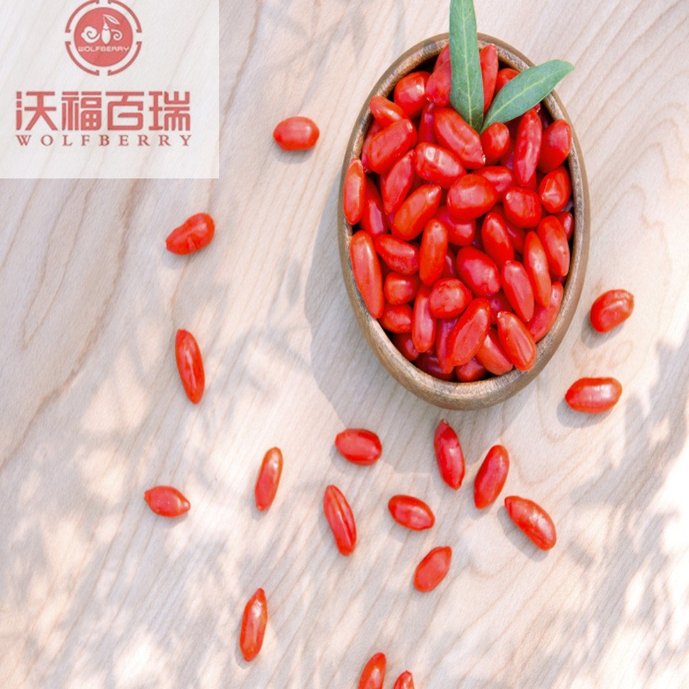 Goji berry / Wolfberry / Lycium Barbarum / quả goji hữu cơ