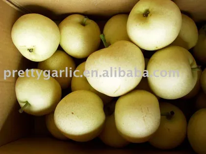 China Early Su Pears