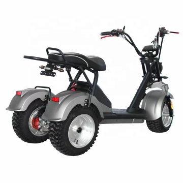 US/EUウェアハウス：大人向けの電気トリサイクルと3輪貨物自転車