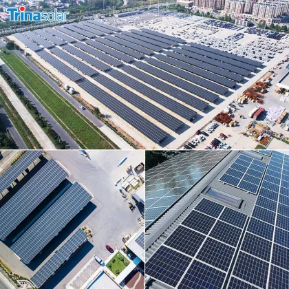 Europe Stock Trina Solar TSM-550DE19 PV Module