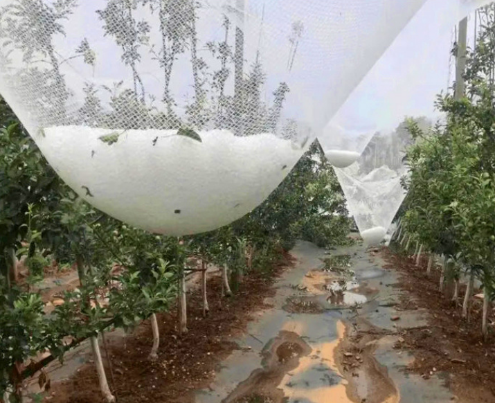 HDPE باغچه ضد تگرگ