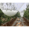 HDPE Orchard Anti Hail Net