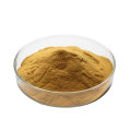 økologisk sibirisk ginseng ekstrakt pulver bulk