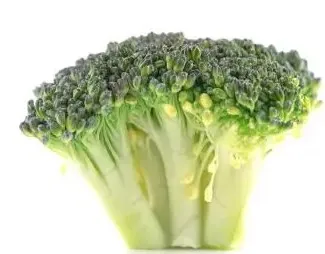 Supply Organic Nature Broccoli Extract 99% Powder