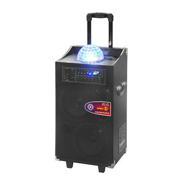 Wireless Speaker with Trolley and Hand, 80W Power