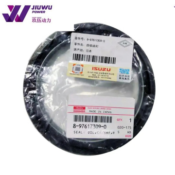 8976173090 rear crankshaft oil seal Isuzu 6WG1 engine
