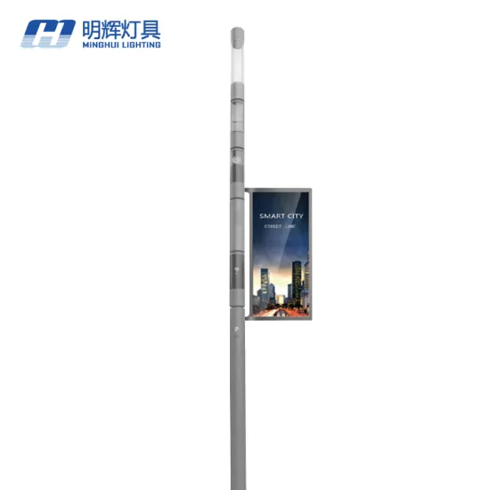 Factory Supply 6m Single Arm Smart Pole for Smart City