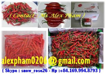 Fresh Chilli, Frozen Chilli, Red Small Chilli, Red Pepper, Chilli Leaf, Chilli