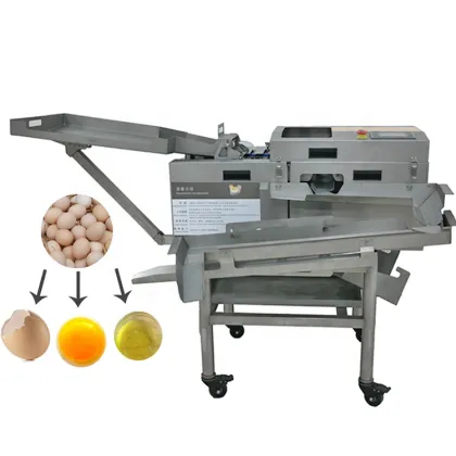 Egg Breaker and Separator: Automatic Egg Yolk and White Separator