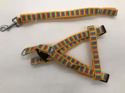 Dog Training Harness Vest Mountain Climbing Leash