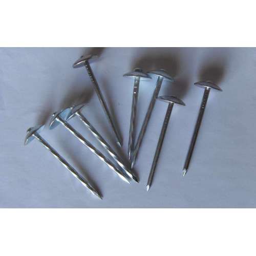 Roofing Nails Electro Galvanized Roofing Nails Factory