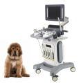 Carrinho de ultrassom ultrassônico veterinário 4D colorido