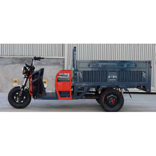 Big Power Long Range Use Electric Tricycle