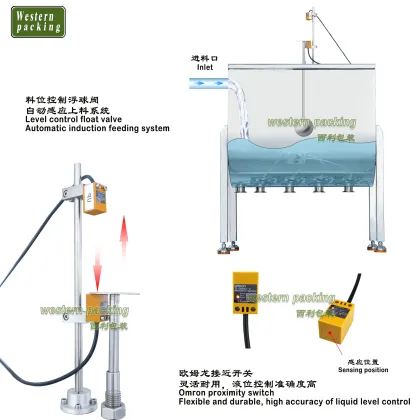 10 Gram Sauce Packing Machines - Fish Sauce Filling and Packing Machine