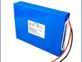 12V 24V 48V 10Ah 20Ah 30Ah 40A AH BATTERIA