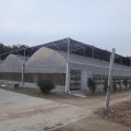 Filem Plastik Multi Span Greenhouse