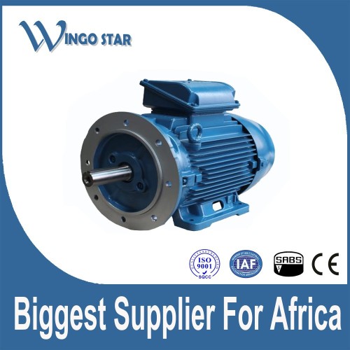 Manufacturer three phase electrical motor