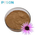 Echinacea extracts active polyphenols