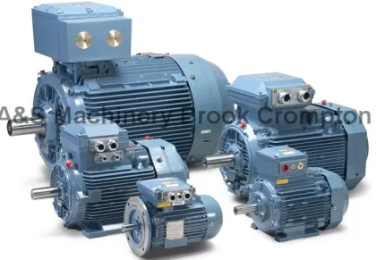 Brook Crompton Motor