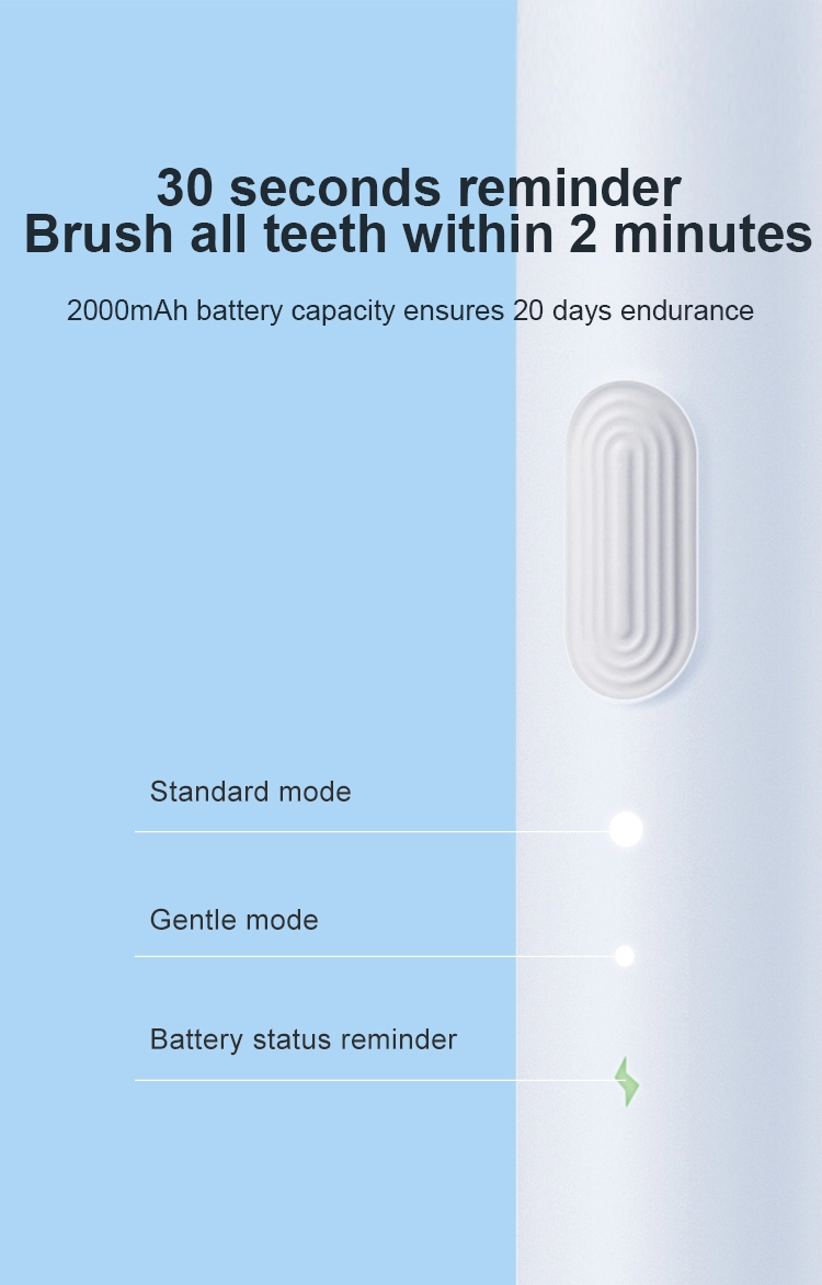 Xiaomi Dr Bei Electric Toothbrush