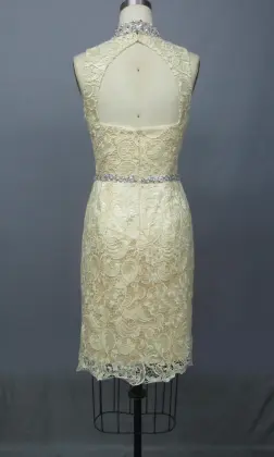 Cocktail Sexy Evening Lace Dresses