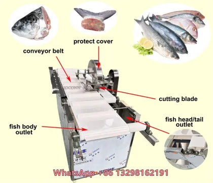 Automatic Fish Head Cutting Machine for Butterfish and Tile Fish Processing
