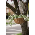 Growers Hanging Basket termasuk liner