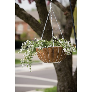 Growers Hanging Basket includes liners