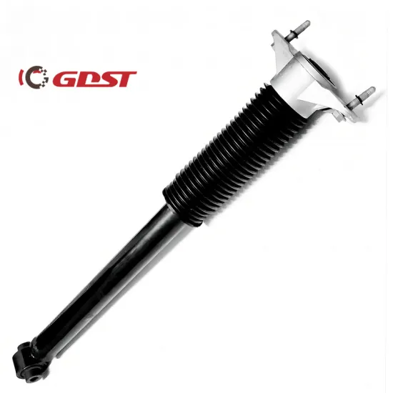 G DST NEW COMPLETE STRUT ASSY Rear Shock Absorber for TESLA Model 3 2017-2021 & Model Y 2020-2023
