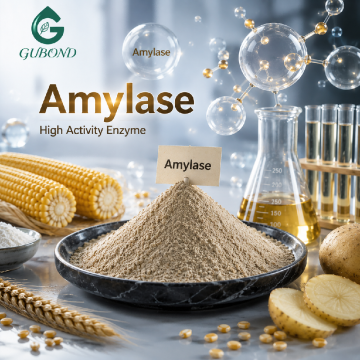 Amylaza do konwersji skrobi i preparaty na bazie zbóż