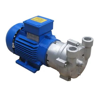 2BV2060 Single Stage ELMO Liquid Water Ring Vacuum Pump with Water Separation Tank