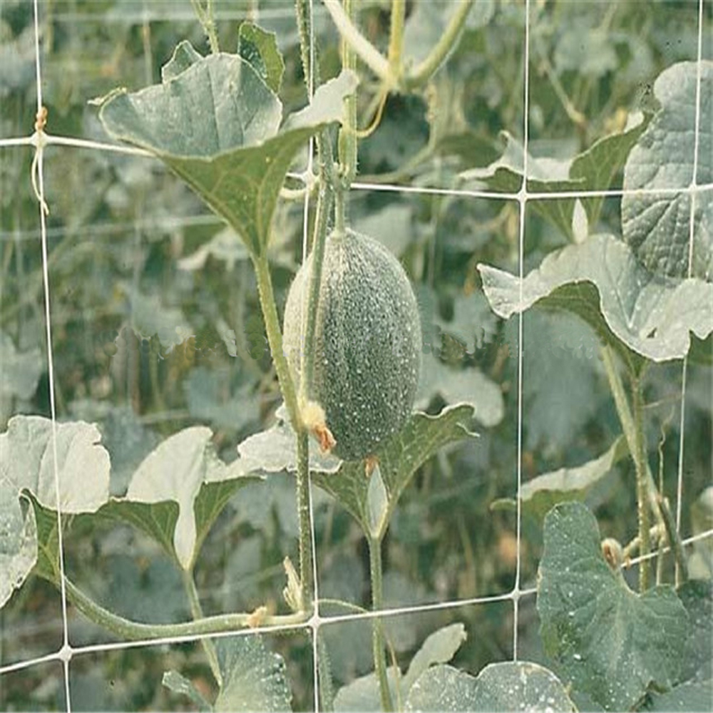 Red de soporte de planta de plástico