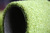 Golf putting green / artificial grass