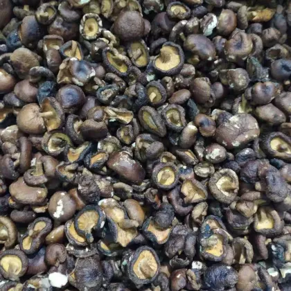 Quality Shiitake Mushroom Crisps